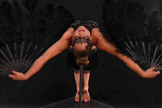 Wir bieten Ihnen verschiedenste Tanzshows 5 - 30 Minuten an. Ob Solo, im Duett oder in einer Gruppenformation. Corinne begeistert mit Ihren Profi-Tänzern und Artisten in diversen Projekten und Variationen. 